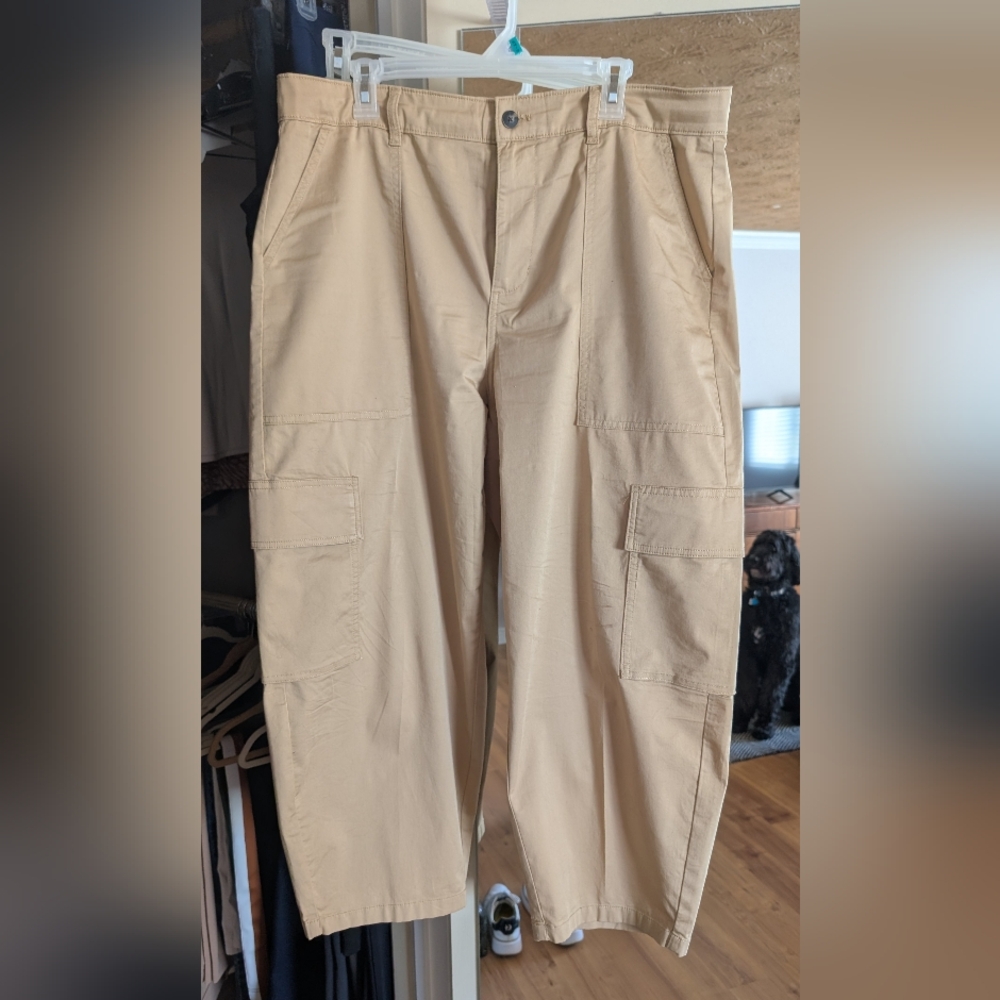 Everlane Utility Cargo Pants, Classic Khaki, Size 16, Barrel Leg Ankle Length - Picture 4 of 4
